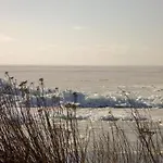 Insel Feuerstein * Гагер