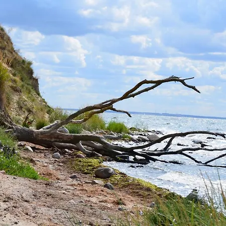 펜션 Insel Feuerstein 가거