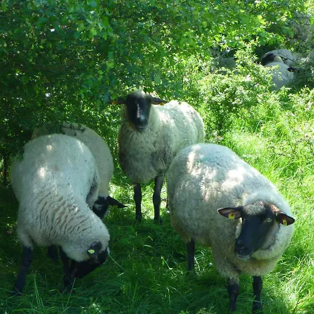 펜션 Insel Feuerstein 가거