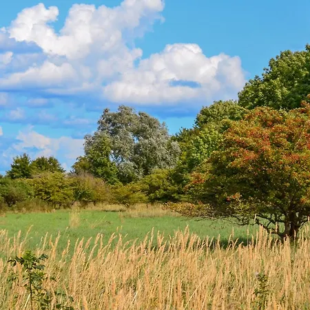 Insel Feuerstein Semesterbostad Gager