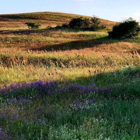 Insel Feuerstein * 가거