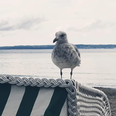 Insel Feuerstein Semesterbostad