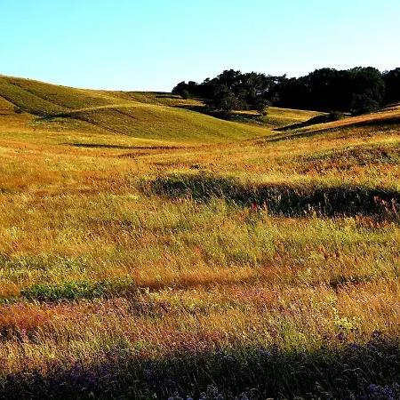 Semesterbostad Insel Feuerstein *