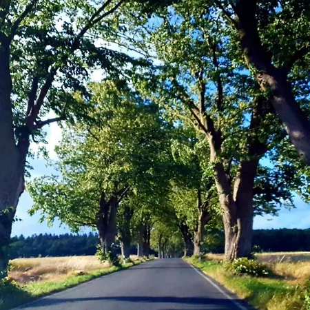 펜션 Insel Feuerstein 가거