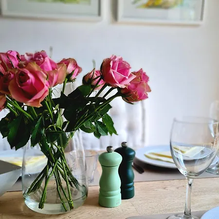 Insel Feuerstein * 가거