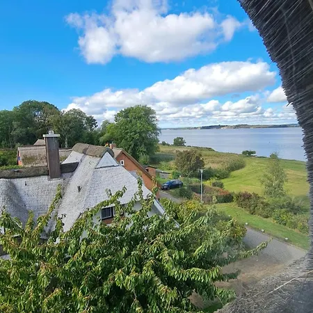 Insel Feuerstein 가거